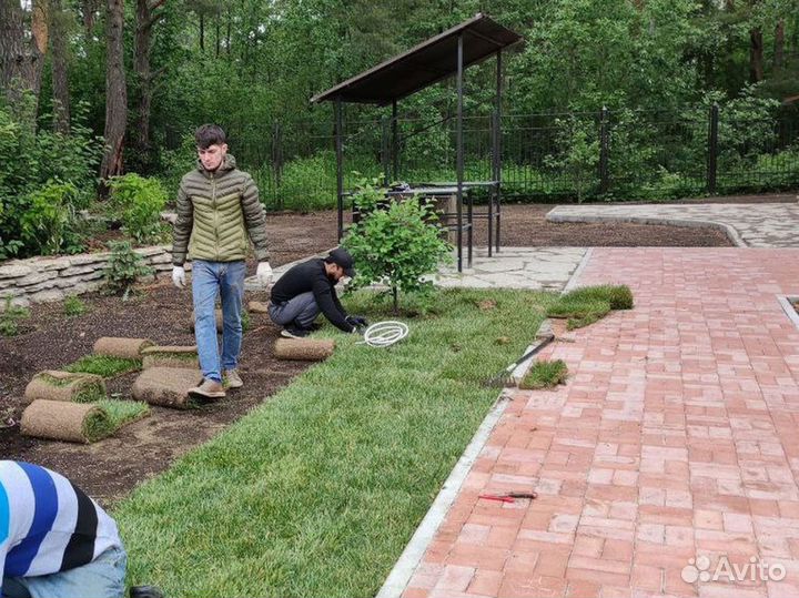 Газон под ключ