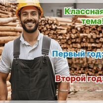 Агентство по деревообработке в городе, Никополь