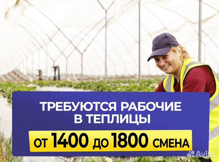 Разнорабочий в теплицы, ежедневные выплаты