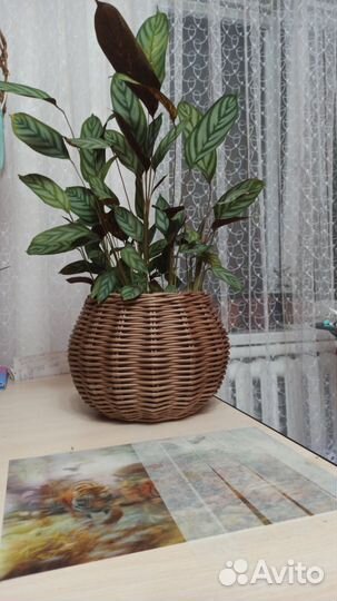 Корзина плетеная