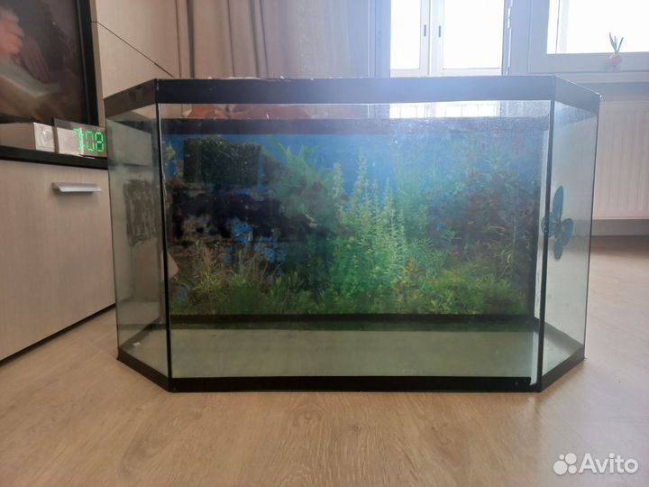 Аквариум