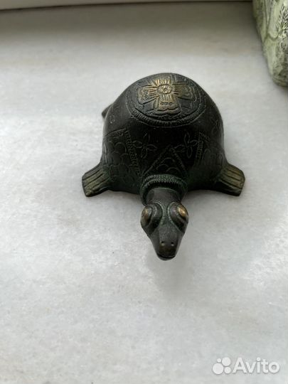 Черепаха бронзовая
