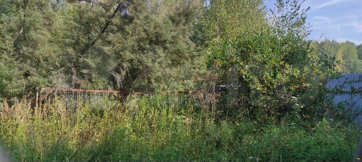 Участок 10,6 сот. (ИЖС)