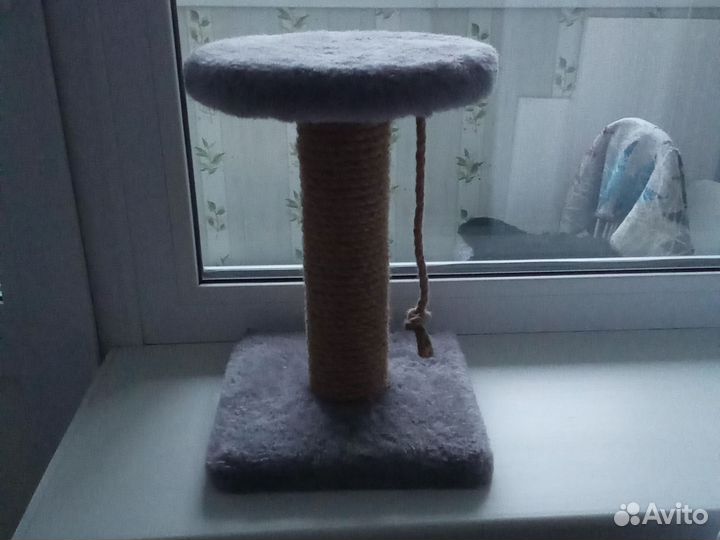 Когтеточка для кошек