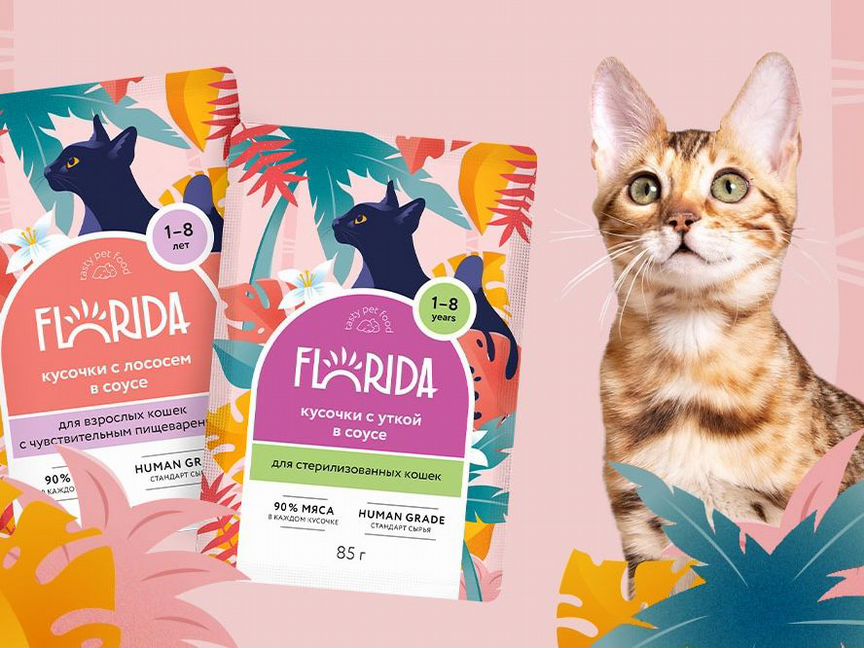 Florida Флорида паучи для кошек