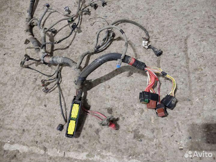 Renault Sandero 1 проводка двигателя