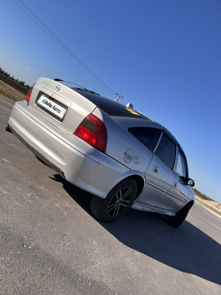 Opel Vectra: фото владельца