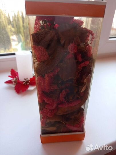 Экибана.Ваза