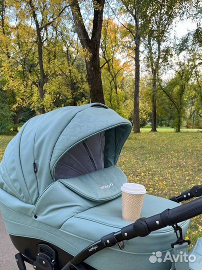 Коляска indigo special 2 в 1
