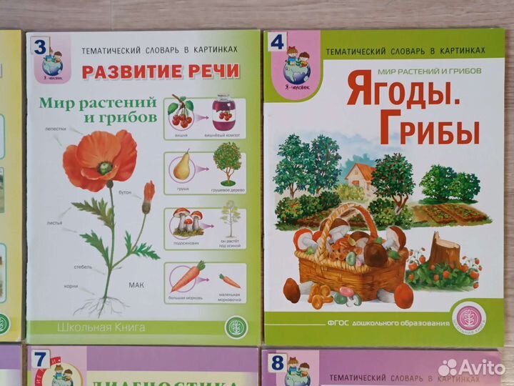 Тематический словарь в картинках