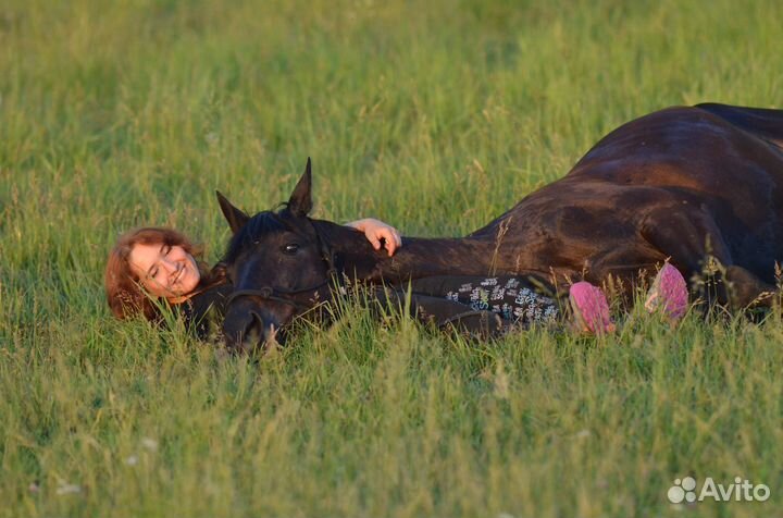 Иппотерапия