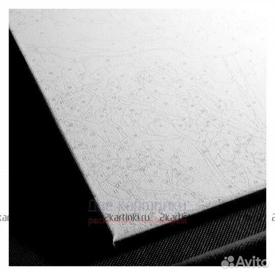 Картина по номерам 40x50 Картина с цветами и бабоч