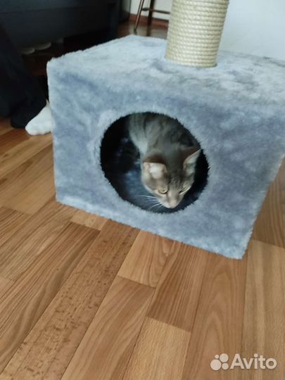 Домик лежанка для кошки