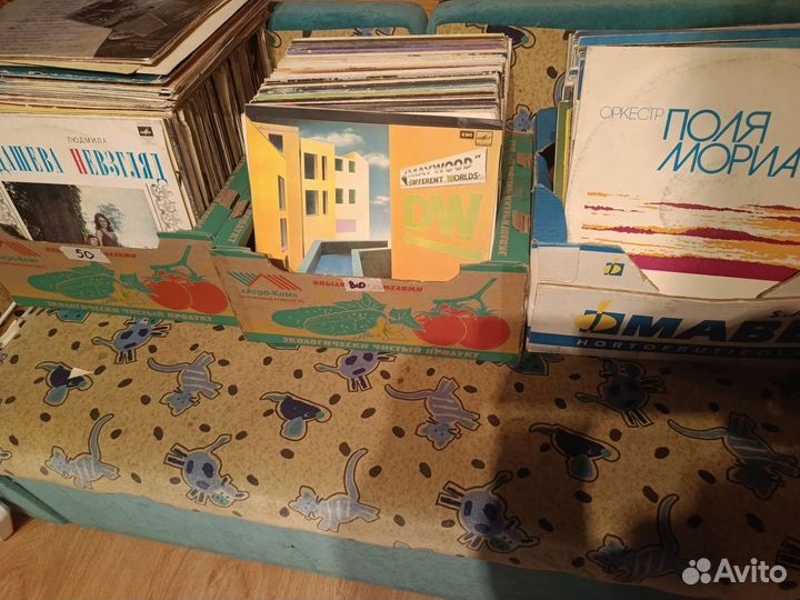 Виниловые пластинки