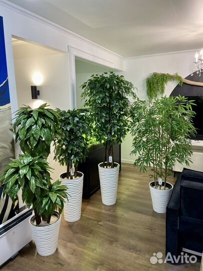 Искусственное дерево Уфа / озеленение офиса