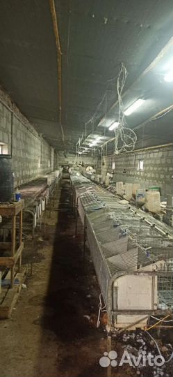 Кроликоферма