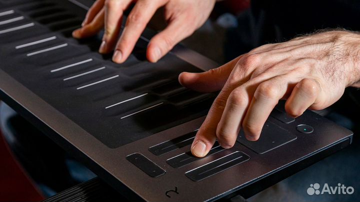 Midi клавиатура roli seaboard rise 2