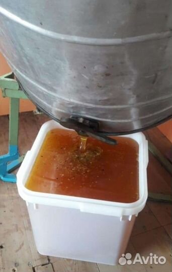 Ведро с мёдом (как на фото)