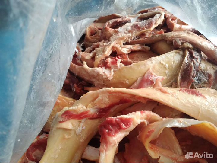 Жилка очищенная.становая.на переработку