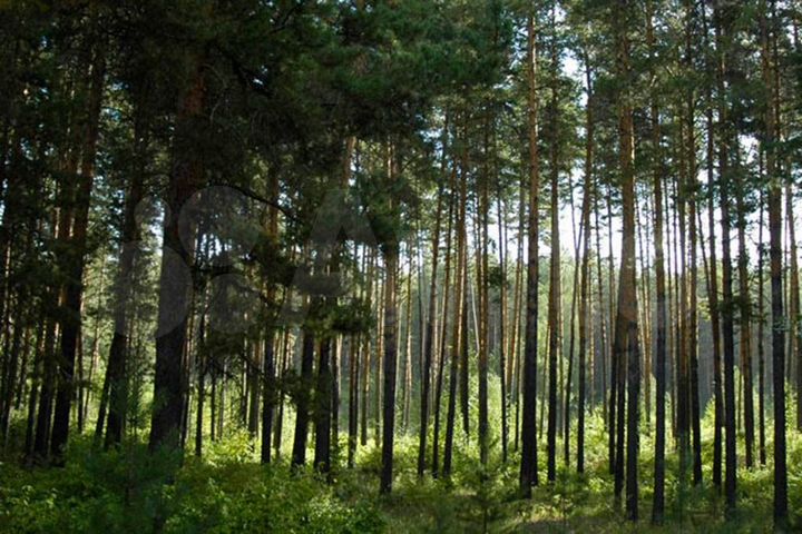 Участок 2,4 га (СНТ, ДНП)