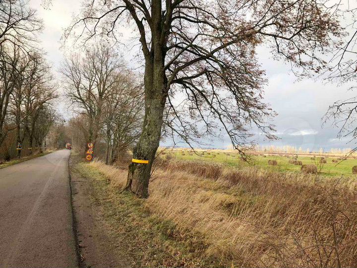 Участок 18 га (СНТ, ДНП)