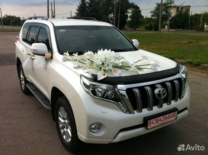 Автомобили на свадьбу, трансфер