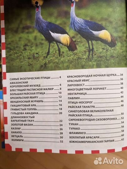 Книга энциклопедия для детей