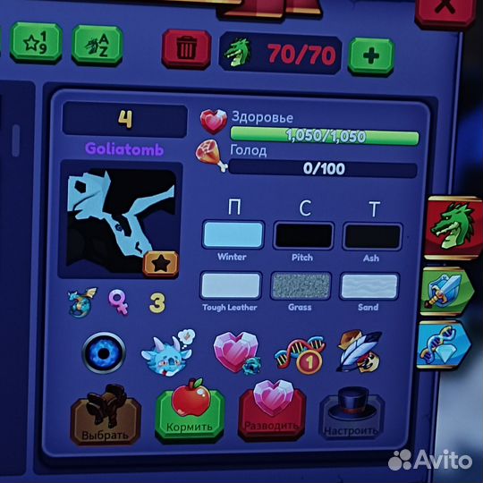 Dragon adventures Golitomb