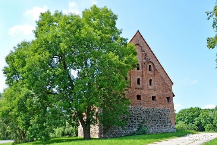 Калининград Топ-Экскурсия Авторская экскурсия поБа