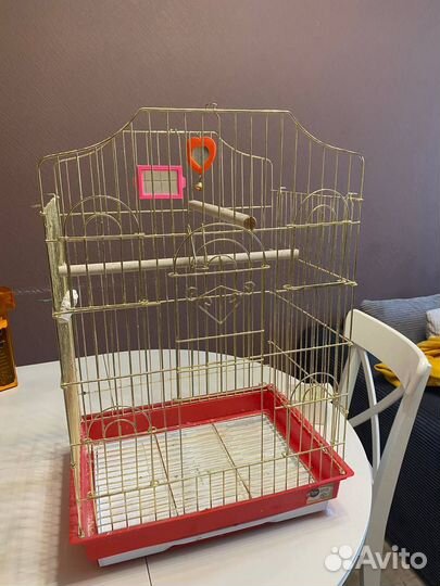 Попугай корелла с клеткой
