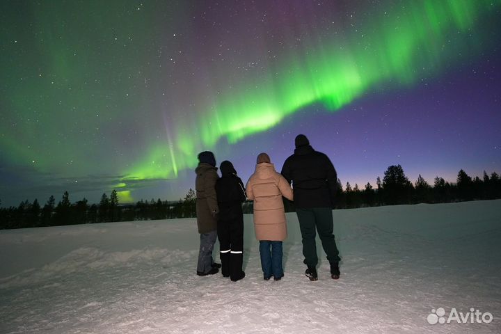 Гид экскурсовод