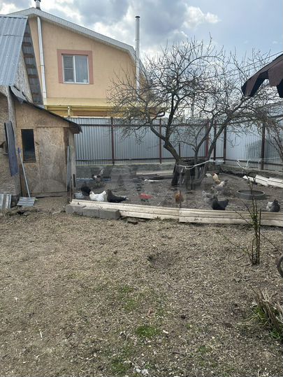 Дом 100 м² на участке 5 сот.