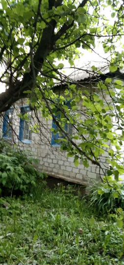 Дом 48 м² на участке 70 сот.