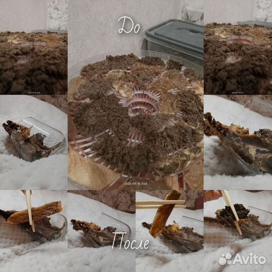 Сушеные лакомства для животных