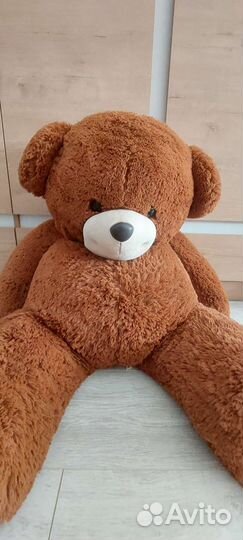 Медведь плюшевый