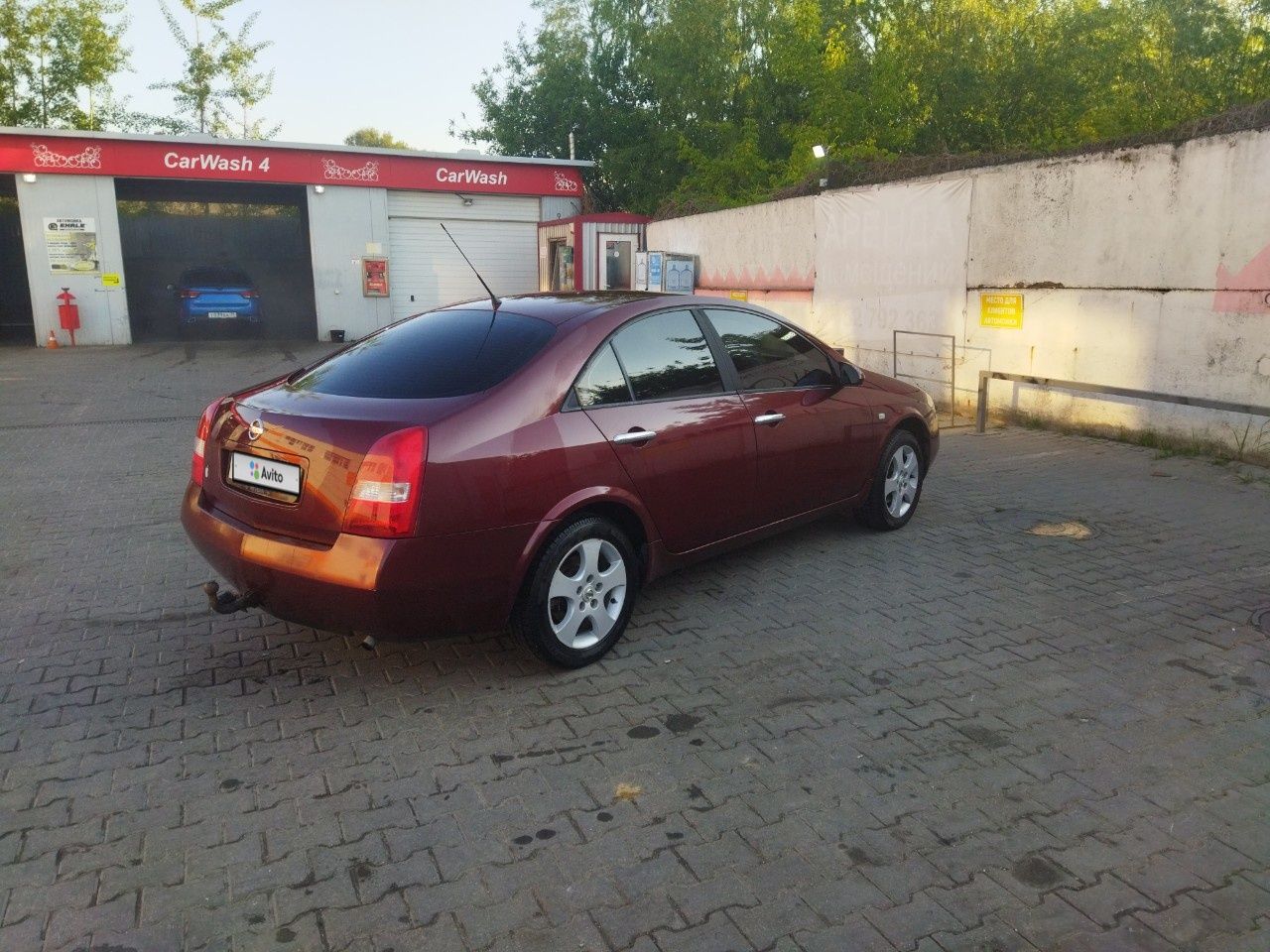 Nissan Primera: фото владельца