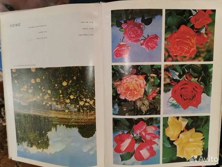 Книга-альбом цветы
