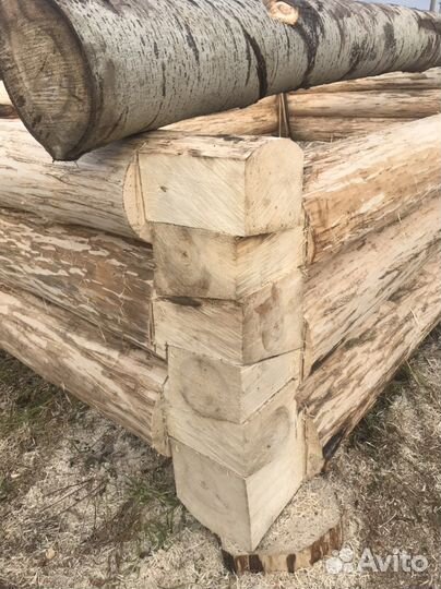 Сруб из осины