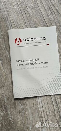 Кролик мини