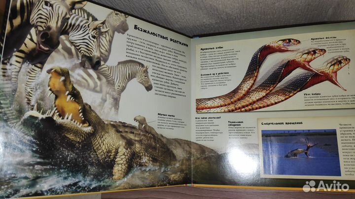 Хищники объемная книга с вкладышами