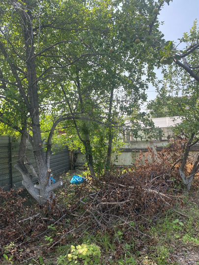 Участок 4 сот. (СНТ, ДНП)