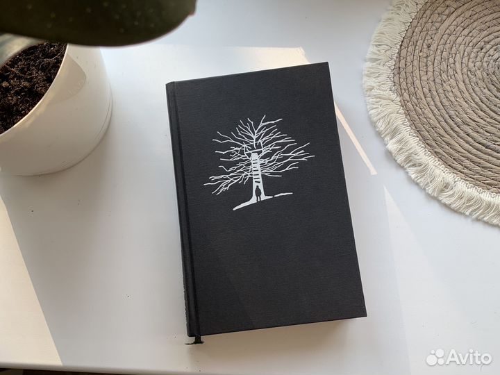 Книга Вооброжаемый Друг Стивен Чбоски