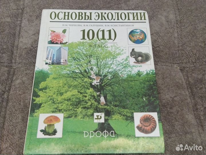 Основы экологии 10-11 класс. Н. Чернова