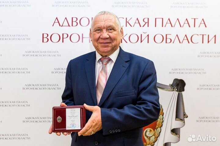 Адвокат по гражданским и уголовным делам