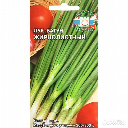 Лук батун Жирнолистный