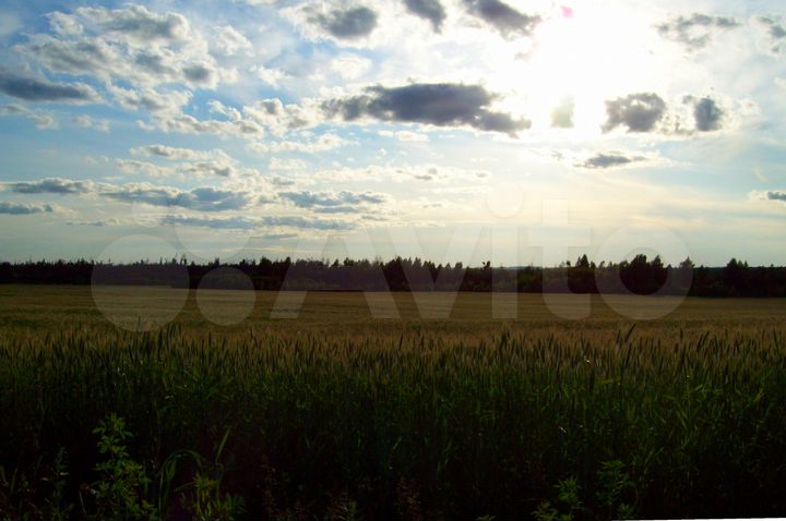 Участок 70 сот. (ИЖС)