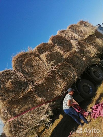 Сено в рулонах 2023года