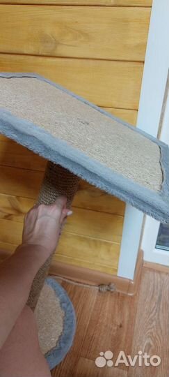 Когтеточка