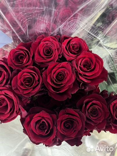 Розы 120 см красные