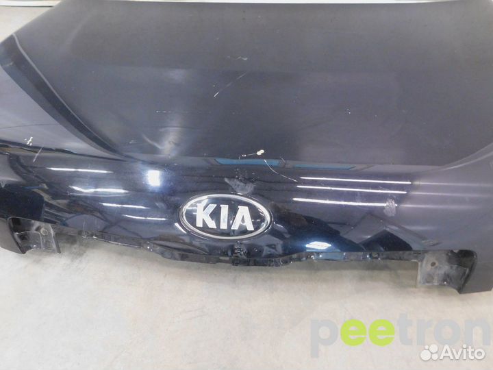 Б/У Б/У Капот б/у 66400E4000 Hyundai-KIA